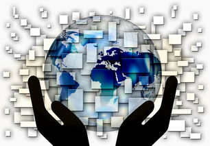 九游网-中国篮球教练员战术创新与应用案例分析，篮球教练基本战术